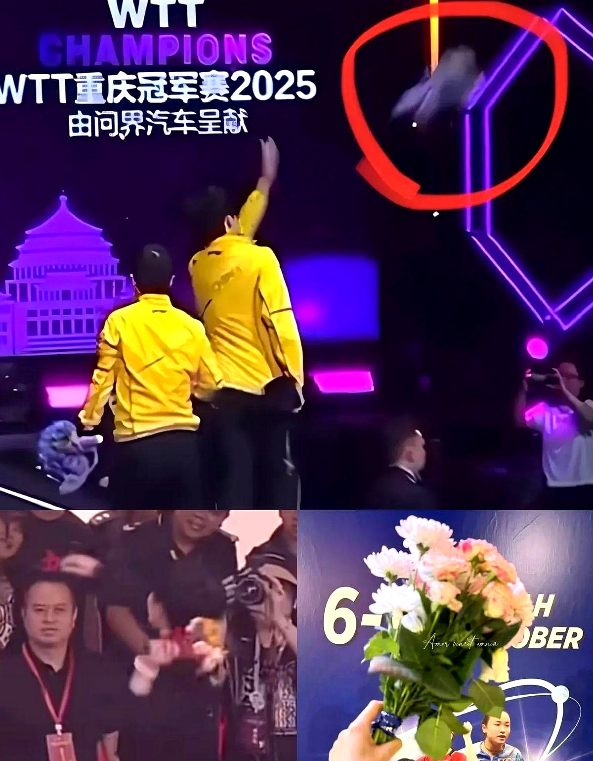 关于拜仁观众热烈欢呼！，JackeyLove迎来七赛季出色发挥引发球迷热议的信息